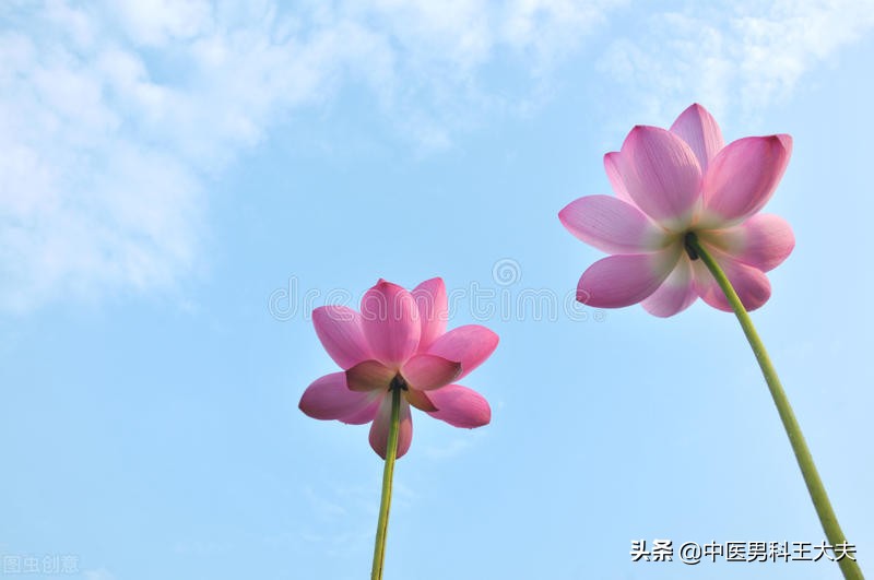 肾水枯竭中医治疗方法,肾虚手心冷出汗怎么调理