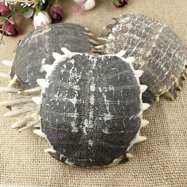 发现子宫肌瘤该吃什么药,子宫肌瘤快速消除小妙招