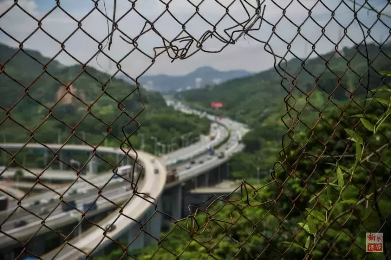 深圳外地人的真实感受,深圳外国人眼中的城市