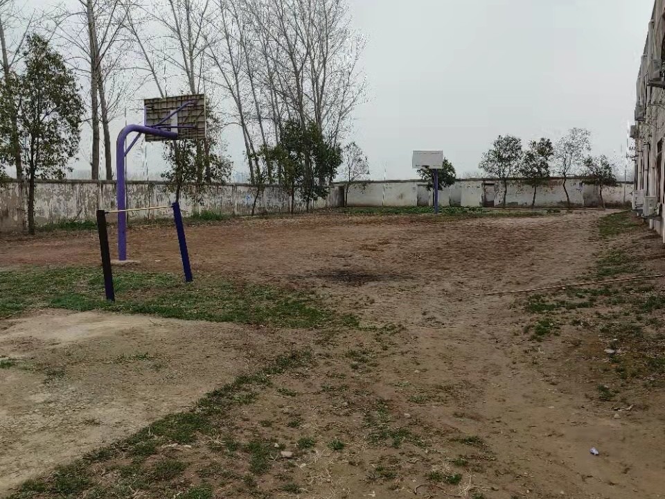 80后“白发校长”张鹏程：为了学生，不要“家”了