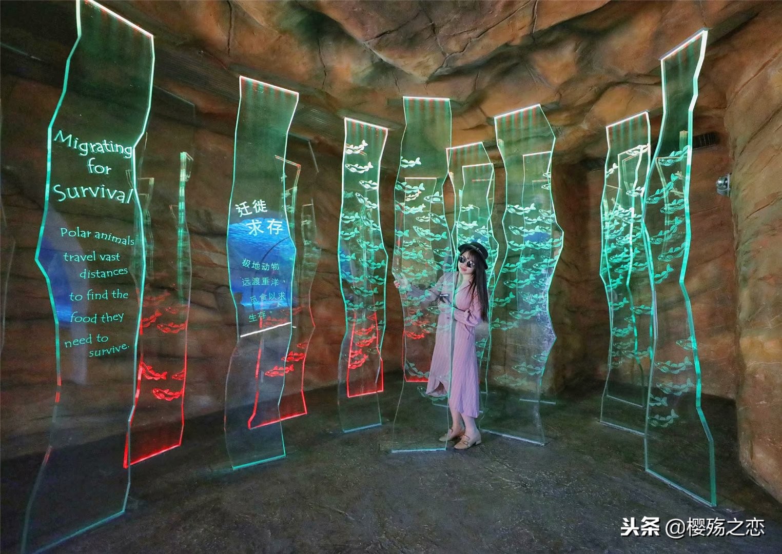 香港海洋公园有什么玩,香港海洋公园刺激排行