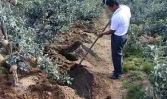 农村种地大实话顺口溜男声版,农村种地顺口溜希望朋友们喜欢