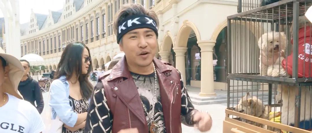 青岛胶南红树林旅游景点,西海岸红树林度假世界