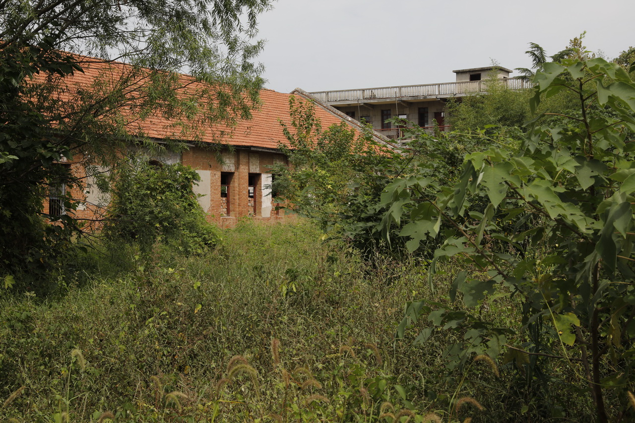 武汉市第七砖瓦厂陈建华,武汉砖瓦厂的发展现状