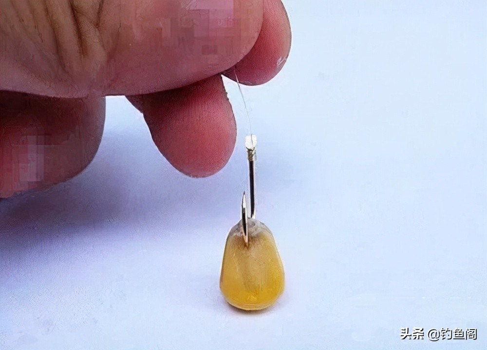鱼线和鱼钩的最佳搭配,鱼钩搭配什么线好钓鱼