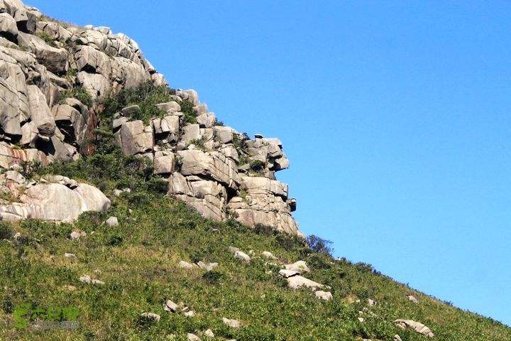 燕窝真的有传说中的那么神奇吗,燕窝的秘密大揭秘