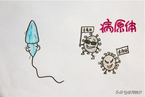 支原体衣原体感染影响怀孕吗,支原体衣原体感染影响胎儿吗