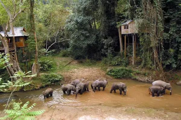 西双版纳旅游攻略旅行地点推荐,西双版纳旅游攻略最新详细