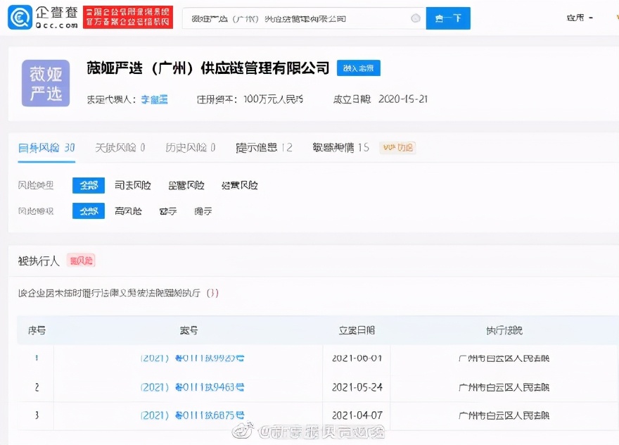 薇娅严选被强制执行是什么意思,薇娅把薇娅严选告了法院怎样判