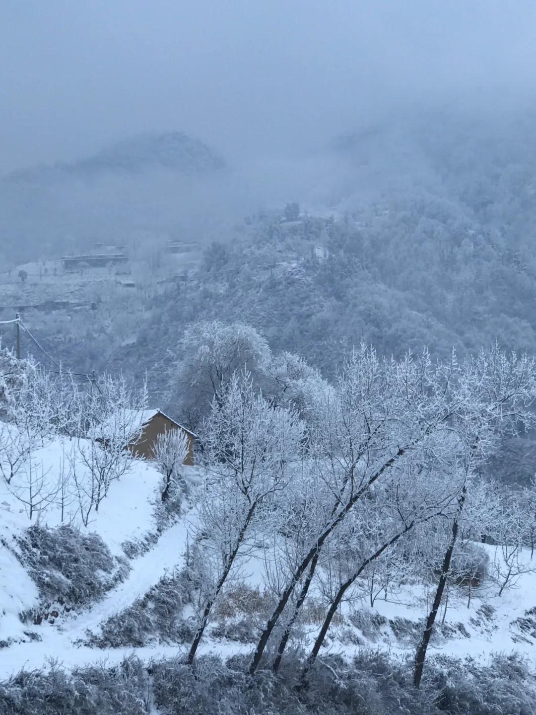 33岁小伙住在山洞四年,33岁的小伙曾在山洞生活了几年