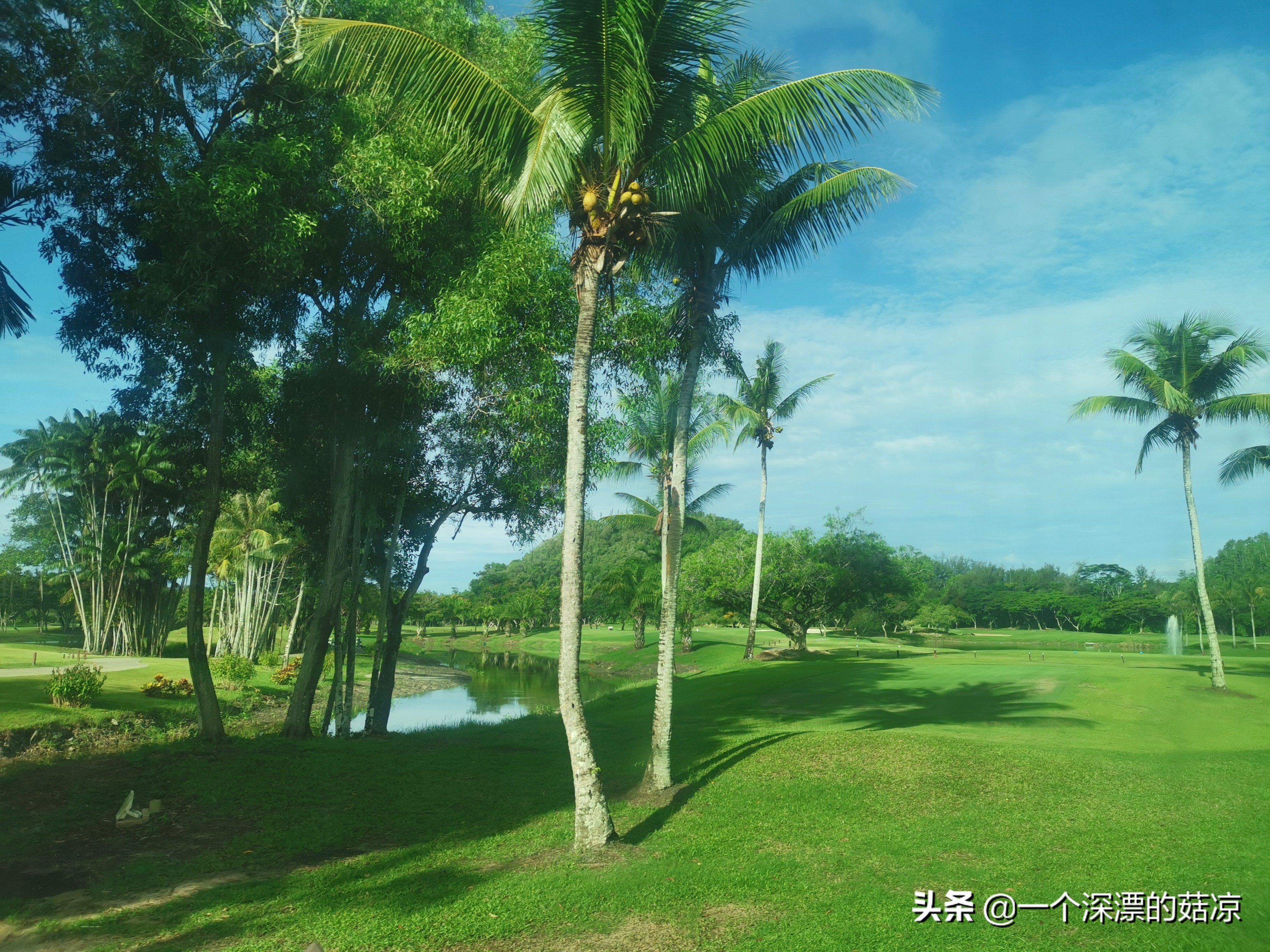 在夏天结束前去海边,在夏天结束之前去一次海边