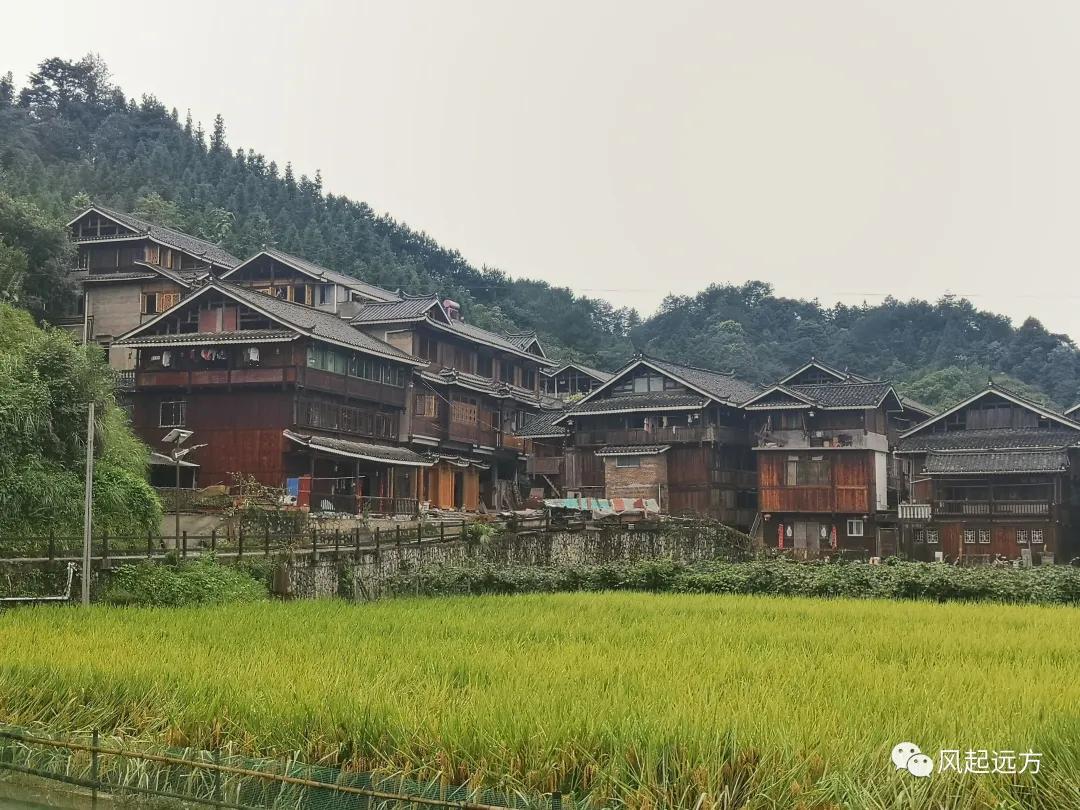 侗寨自由行游记,自驾侗族八寨攻略