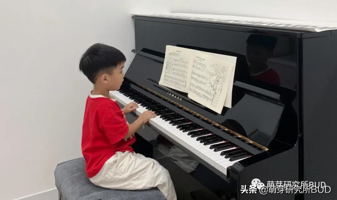 电钢琴和电子琴怎样组合,钢琴电子琴电钢琴区别