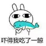 买牛初乳钙片,喂狗狗钙片