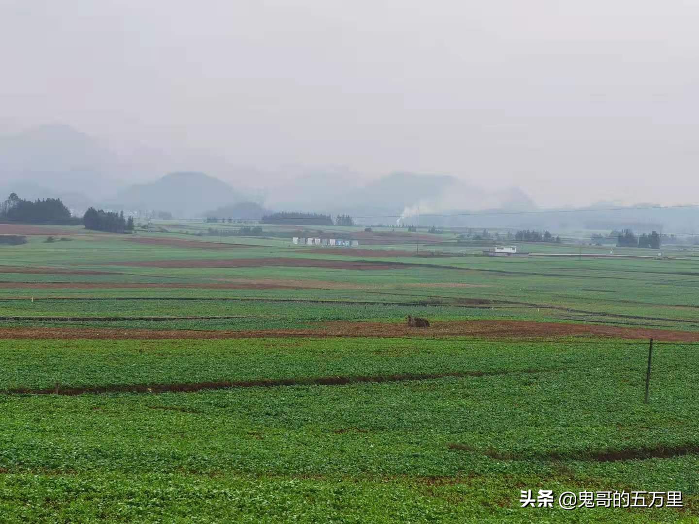 鬼哥的五万里D118骑记：云南，未来可期,泸西县-罗平县
