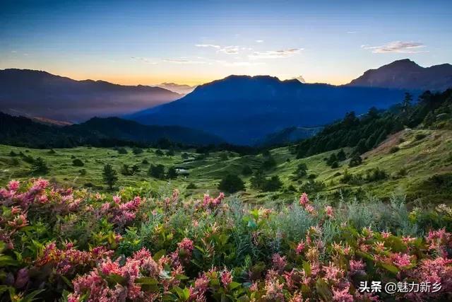 拍摄构图中常用的5种景别,摄影技巧三分法