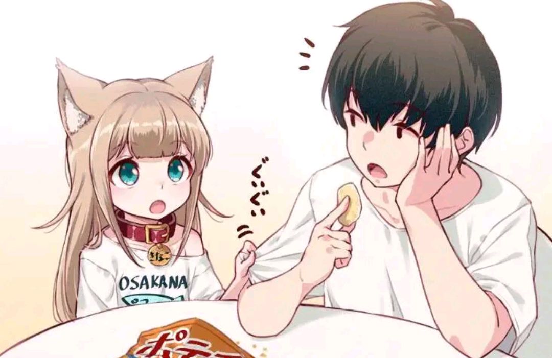 最可爱的动漫猫咪,云吸猫小猫视频