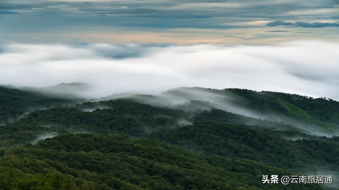 在西双版纳有个自己的小院,西双版纳美如世外桃源