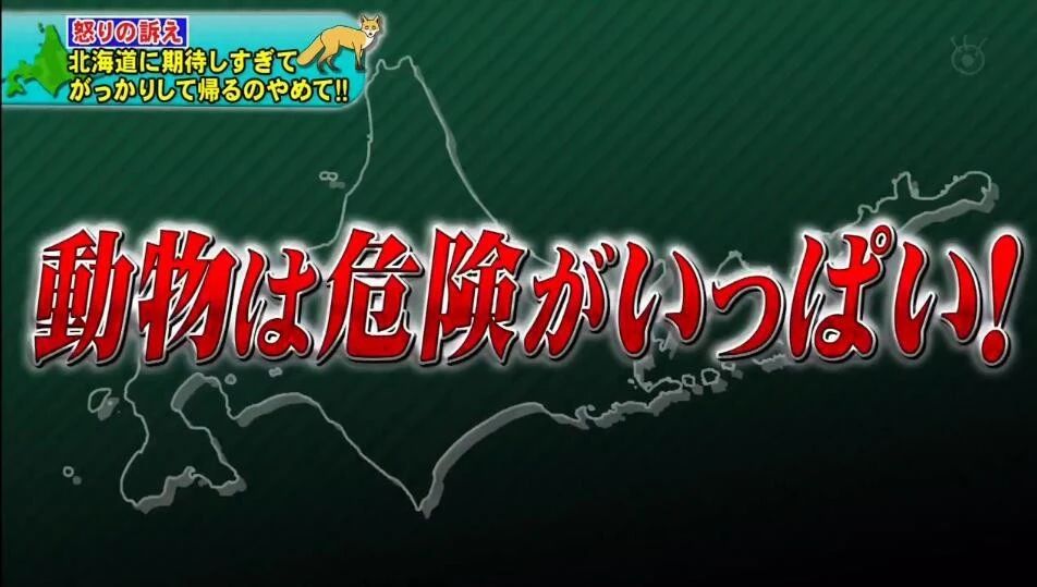 北海道建议去哪里,北海道要准备什么