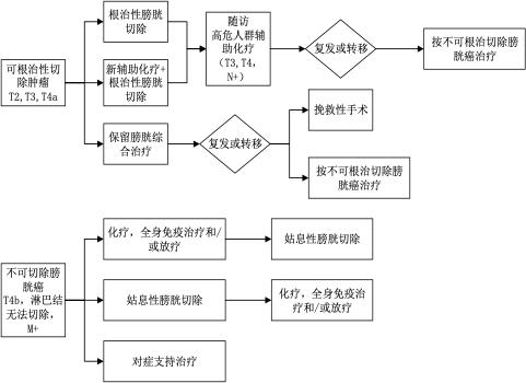 膀胱癌治疗安全共识,94岁老年膀胱癌诊疗经验