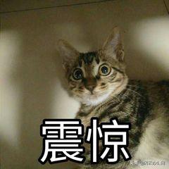 怎么在手机上裁剪视频时长？就是这么简单