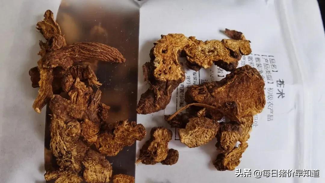 苍术种植杀菌用药,苍术有病虫害用啥药