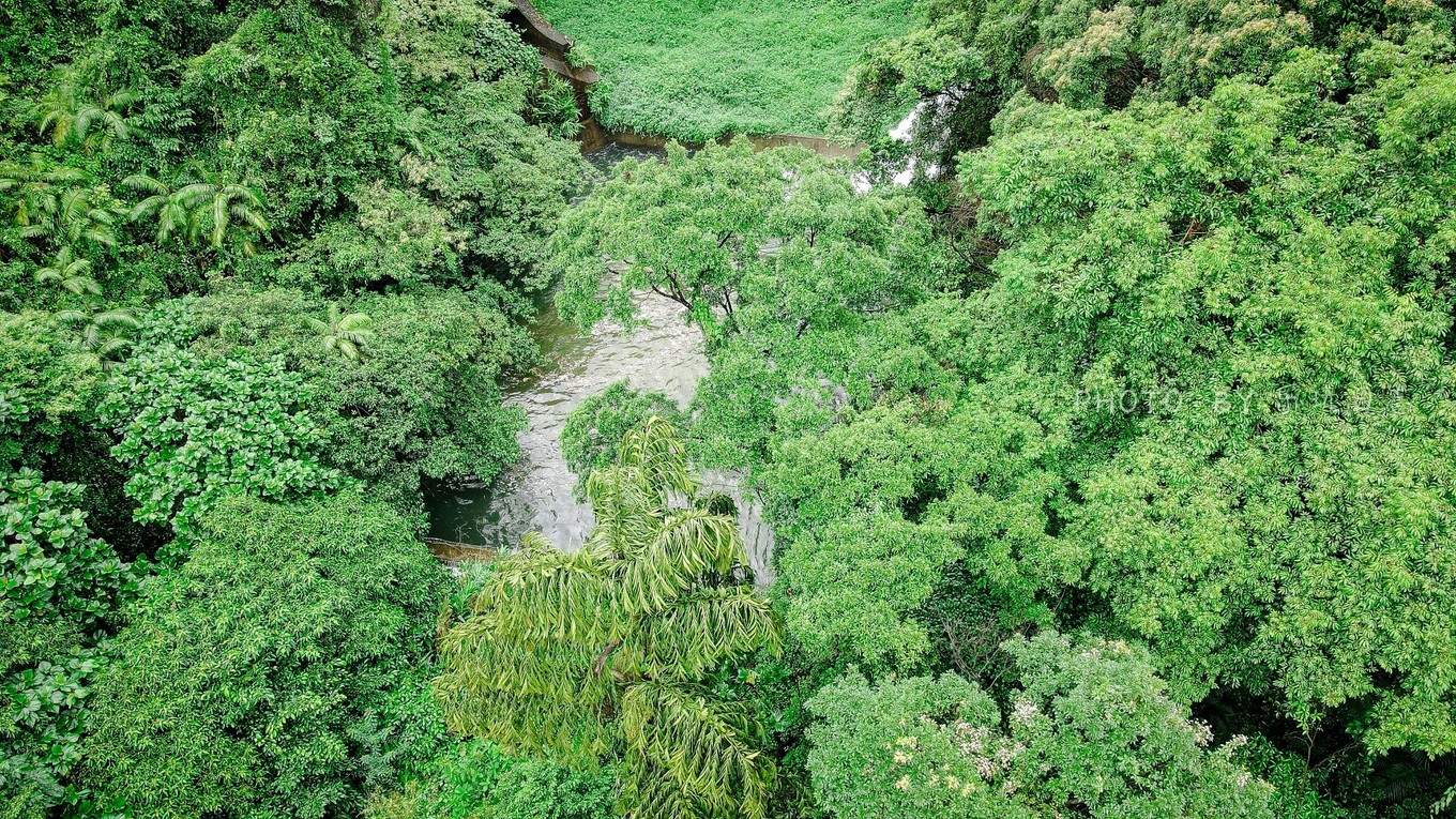 享受鼎湖山绝美风景,换个角度的风景