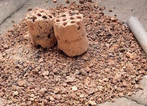 石斛兰用煤渣好吗,怎样用锯末养石斛兰