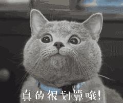 美国最大超市costco在中国分店,美国超市costco上海现状