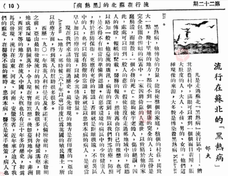 八国联军入侵真实历史,中国历史黑热病持续年代