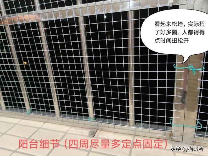 高层养猫到底要不要封窗,封窗养猫