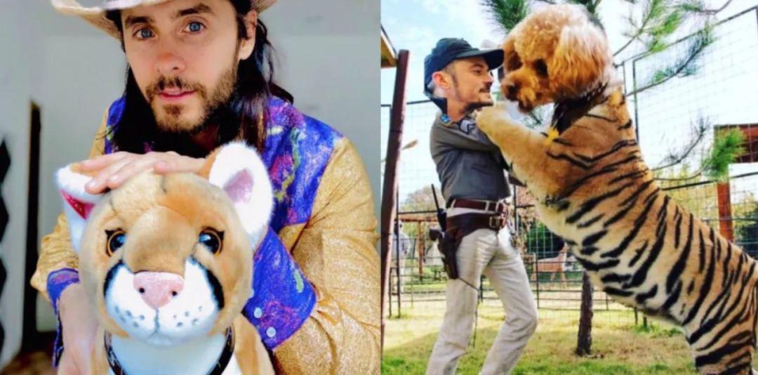 一夫多妻、*教邪***脑洗**、富豪失踪,你敢跟我说是真人真事?