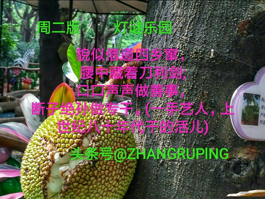 周二版灯谜乐园,太阳神刚正,摘顶格,水果名2010702