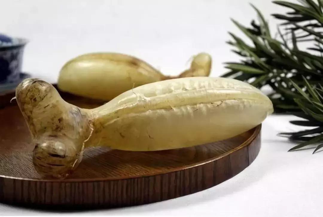 蜘蛛鱼胶品种价格,蜘蛛胶跟花胶