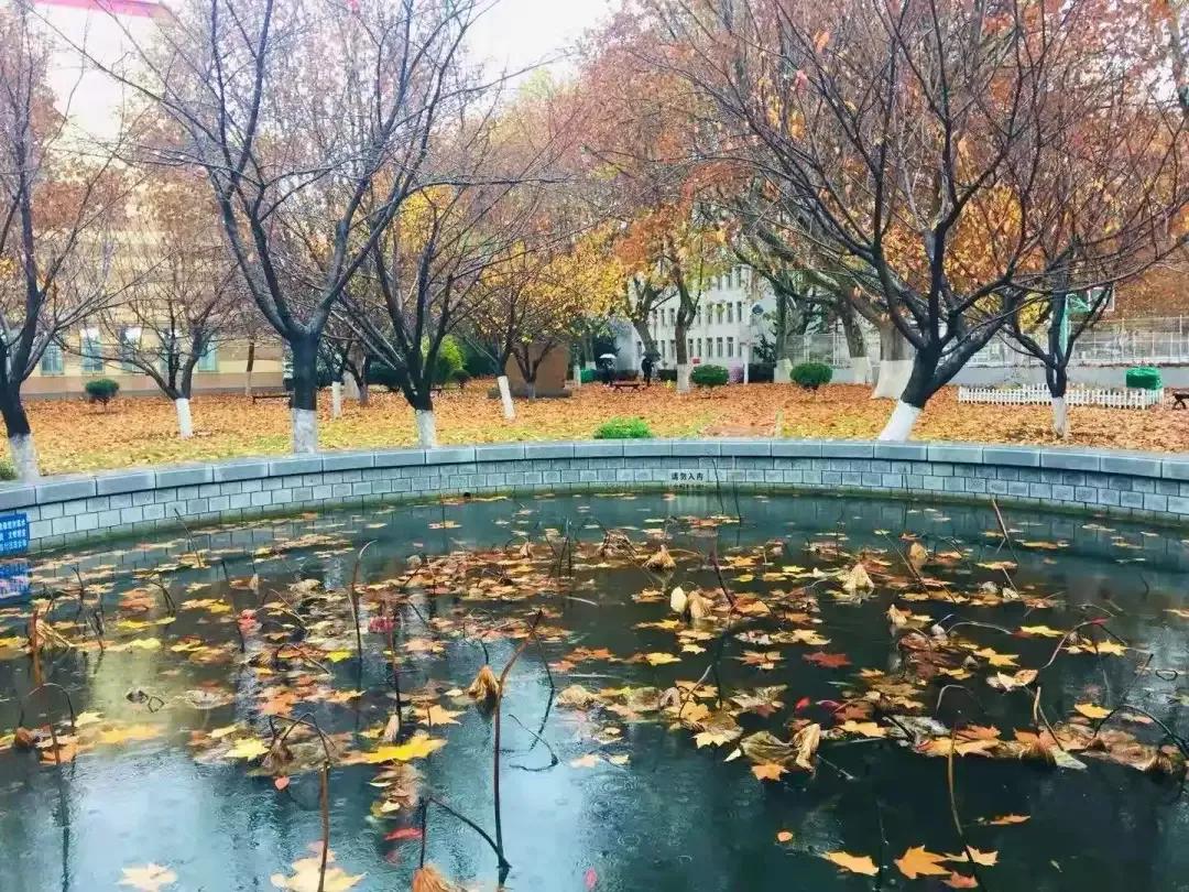 辽宁省普通高等院校大连大学,辽宁省交通高等专科学校15届