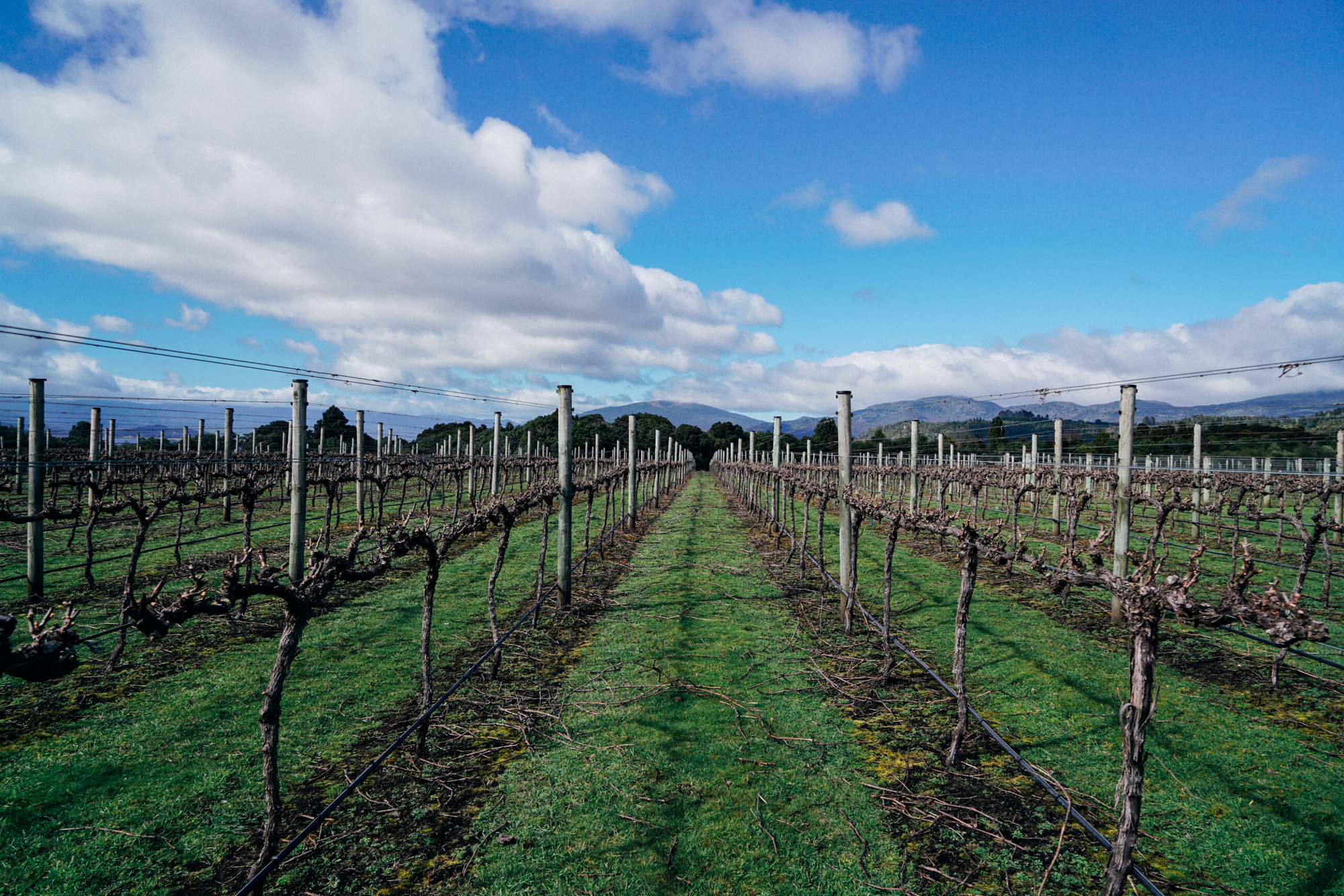 为什么说新西兰是纯净的,新西兰北岛有值得去的地方吗