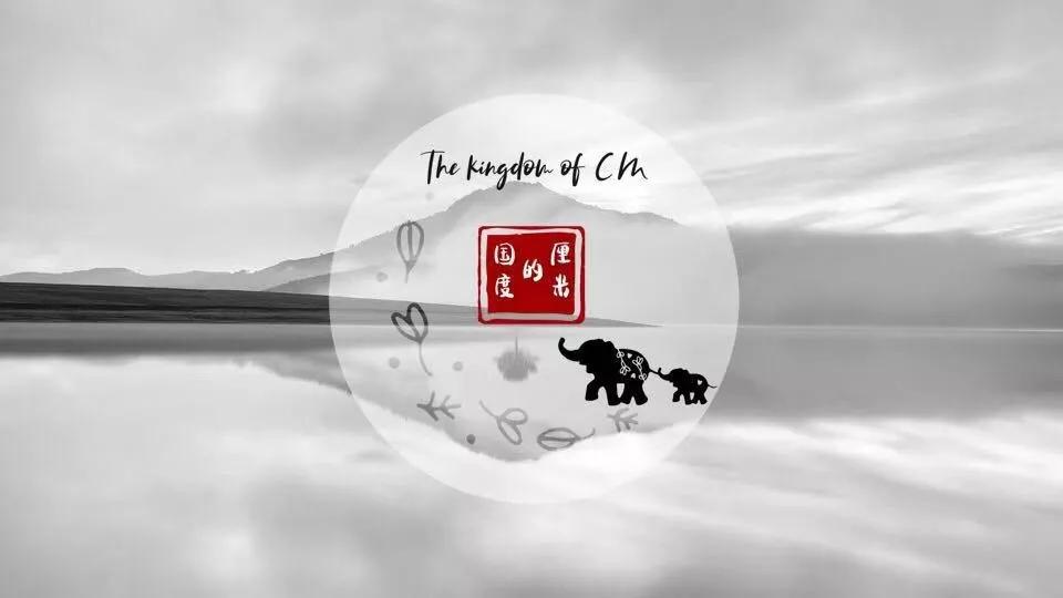 厘米的国度|藏在海底的鹰(4)——乌贼