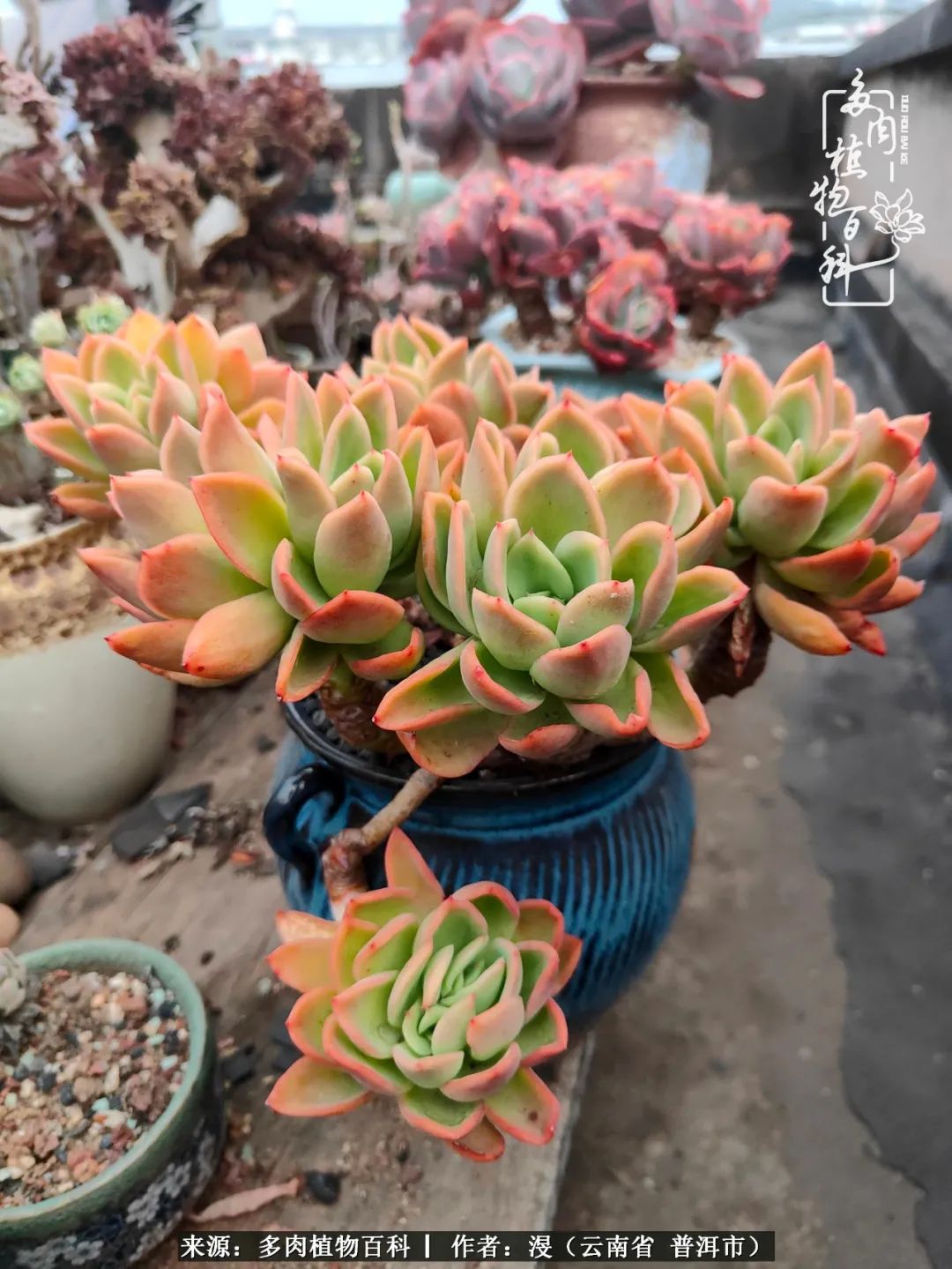 风过留痕讲的啥,风过留痕朗诵