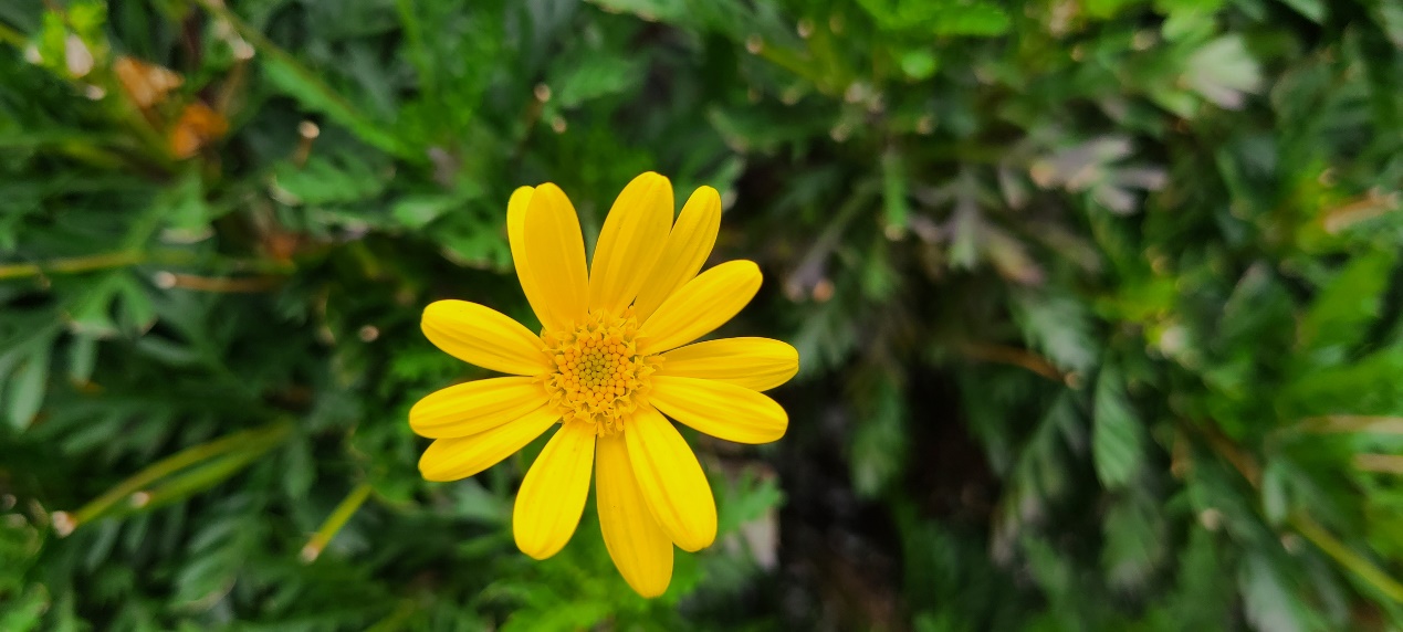 三星note9+与s20+对比,三星s20+换苹果12