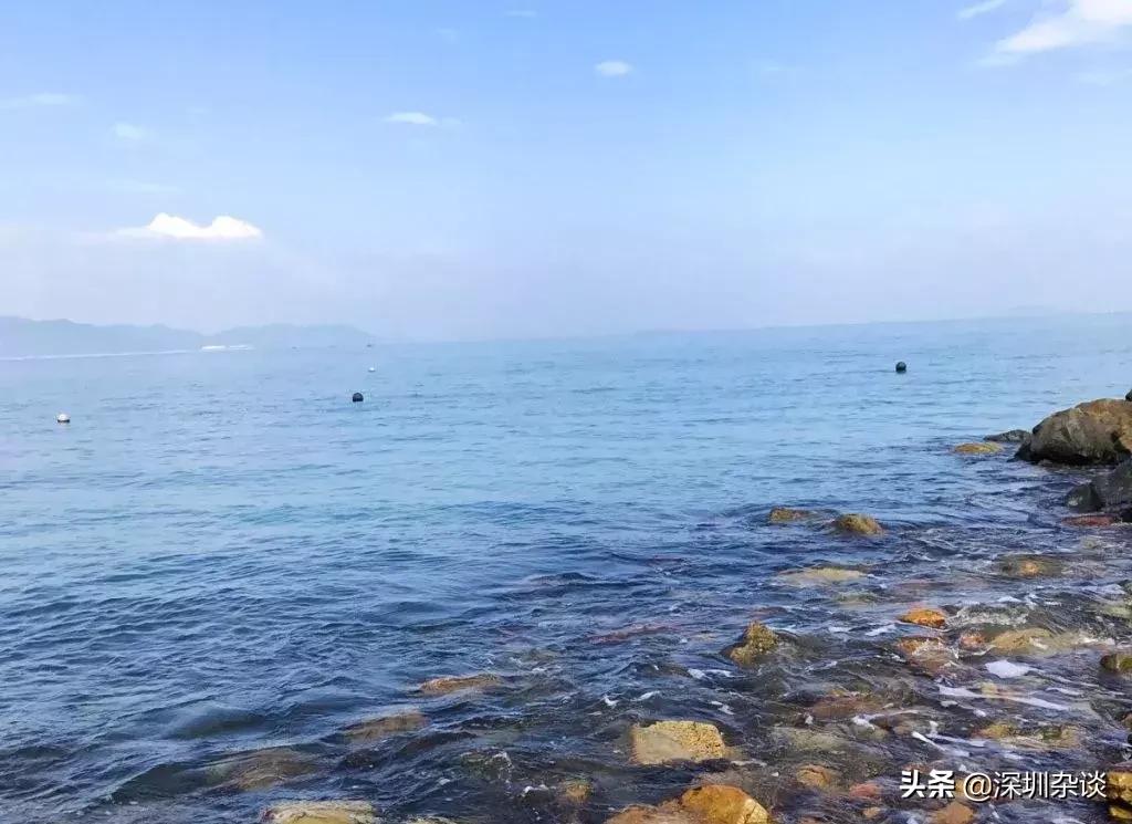 深圳杨梅坑溪谷,深圳最美溪谷杨梅坑