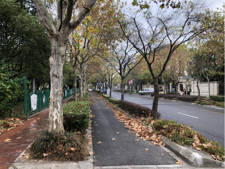 正在快速崛起的城市,新江湾最近有什么新消息