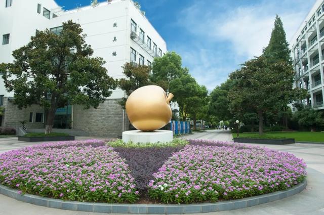 赵国弟简介,赵国弟