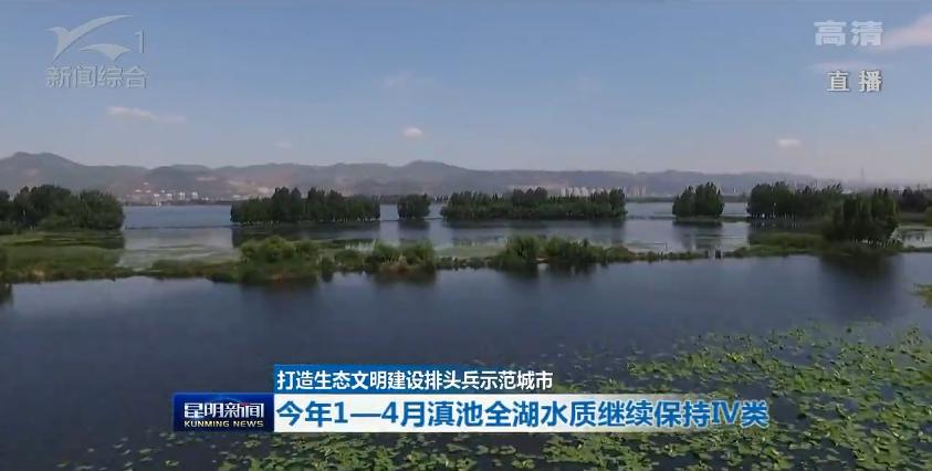 滇池昆明湖,昆明滇池的鱼现在怎么样了