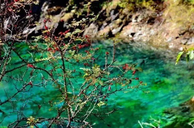 九寨沟精致小众,九寨沟风景不输瑞士