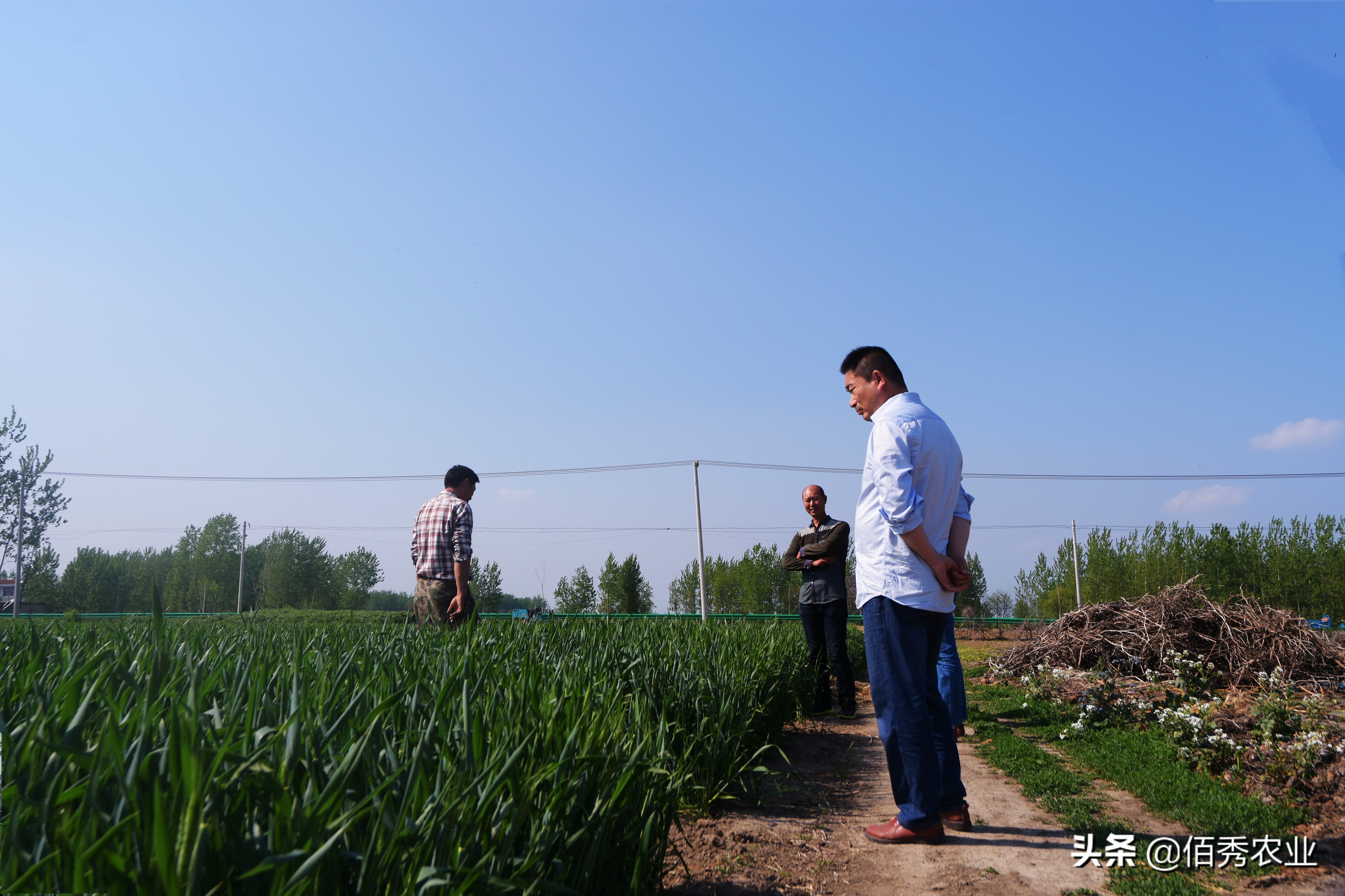 农村人打工赚钱方法有哪些,农村人如何打工赚钱