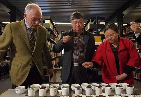 点茶技法有哪些种类,六大茶艺特点及代表茶