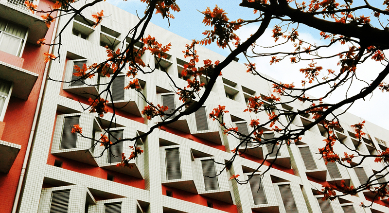 惠州第八中学视频,惠州市第八中学