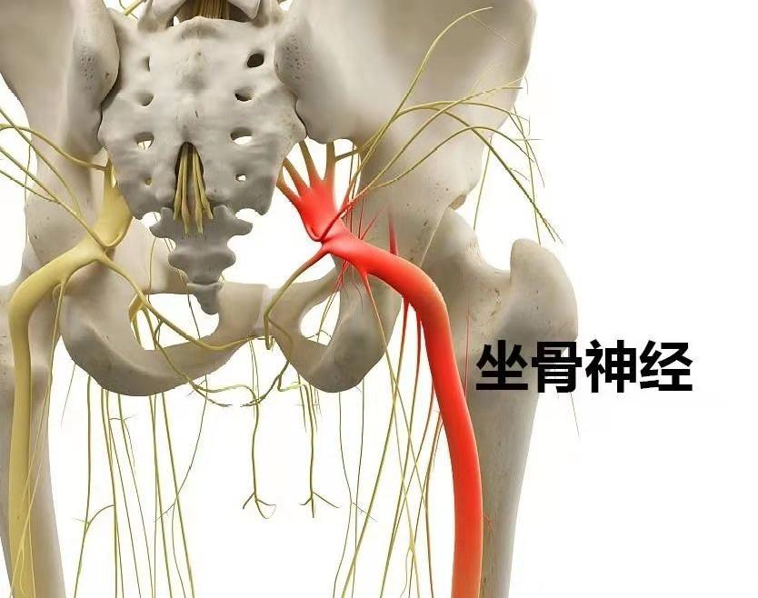 中医正骨咔咔响合集,中医正骨骨头咔咔响的声音