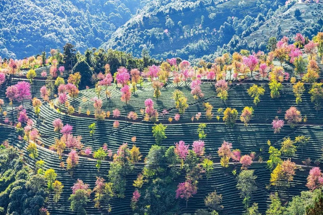 12月想要什么,12月的冬日暖阳岁月如此静好