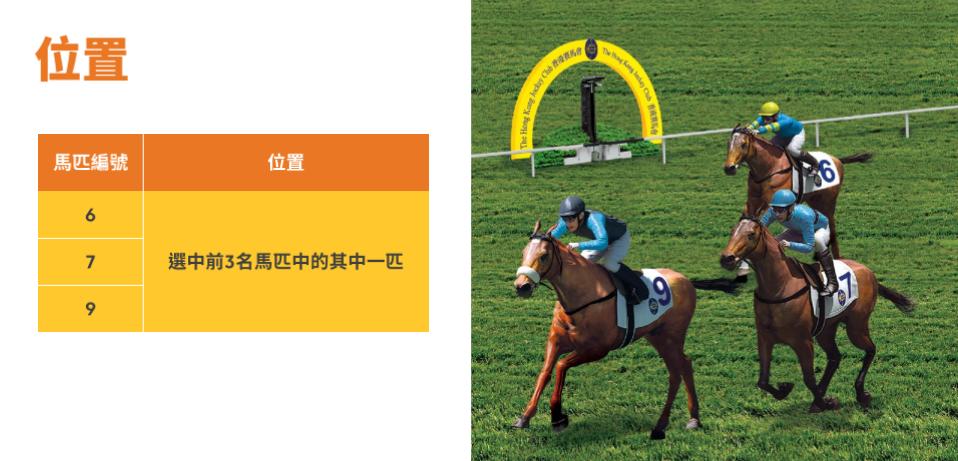 看到香港人玩赛马却不知道怎么玩，半小时教会你！